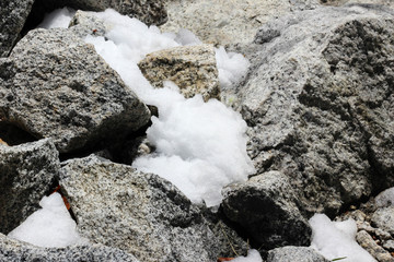 snow between stones