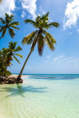 Fototapeta na wymiar Beautiful tropical beach and coconut palm trees staying togehter. Holiday and vacation concept.