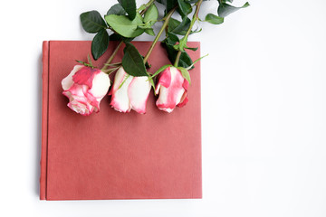 Three beautiful roses lies on red leather covered wedding album or wedding book.