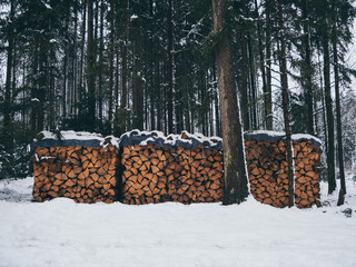 Image of pile of wood with snow in the forest in the winter - Powered by Adobe