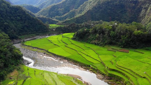  rice terraces in aerial view, Philippines