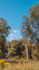 Smartphone HD wallpaper of beautiful view near the Isar mouth - Plattling - Bavaria - Germany