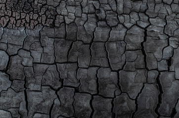 Background, black charred timber, coal after fire, abstract and in cracks of charcoal.