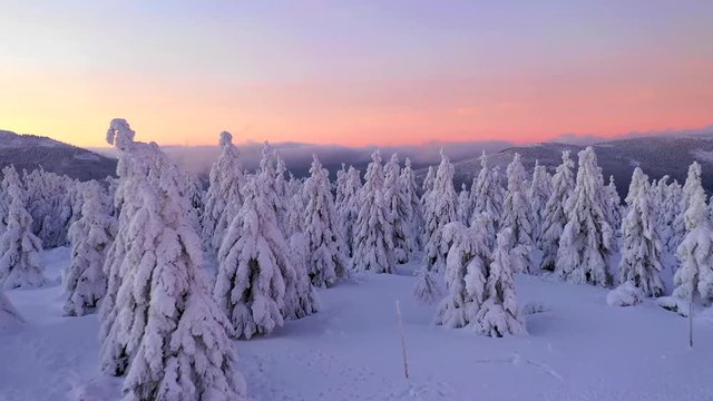 Nature and outdoor cinematic drone footage of winter landscape
