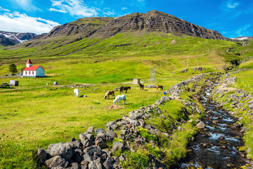 Fototapeta na wymiar Landscape of Mjoifjordur village with the water stream at right, horses in the green meadow and the church at left