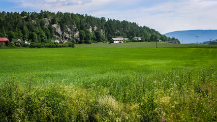 Fototapety na wymiar - Fototapeta24.pl