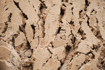background deep cracks in wet sand