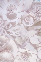 Fototapeta na wymiar Different white paper flower on white background