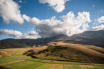 Fototapeta premium flowering field of hay Castelluccio di Norcia