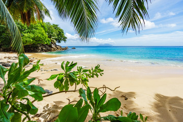 Paradise Beach on the seychelles through leaves