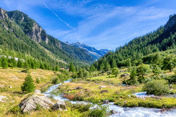 Il fiume che scorre in una valle Alpina