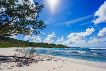 paradise beach on the seychelles, anse cocos, la digue 2