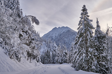 Fototapeta na wymiar Mountains covered in snow