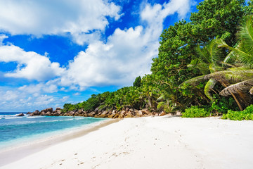 paradise beach on the seychelles, anse cocos, la digue 10