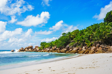 Fototapeta na wymiar paradise beach on the seychelles, anse cocos, la digue 11