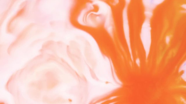 Colored paint beautiful spread in liquid, realtime shot