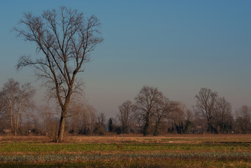 paesaggio di campagna al tramonto in inverno