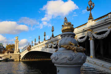 Fototapeta na wymiar The famous Alexandre III bridge in Paris, France