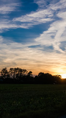 Fototapeta na wymiar Smartphone HD wallpaper of beautiful sunset near Tabertshausen - Bavaria - Germany