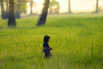 Naklejka na ściany i meble Asian kid in farmer Thai culture dress holding Food carrier while walking in the rice field in countryside.