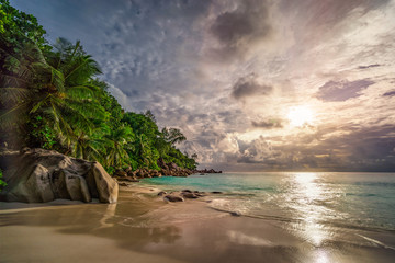 Fototapeta na wymiar paradise beach at anse georgette, praslin, seychelles 16