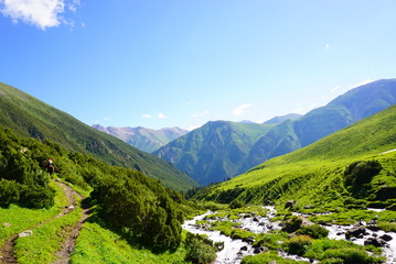 Fototapeta premium 緑の大自然をトレッキング