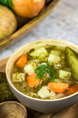 Vegetarian soup made of pickled cucumbers - light color of background - vertical view