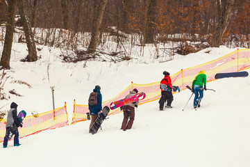 Joyful snowboarders, with snowboards in their hands, go up the mountain slope, amidst huge snow-covered fir trees at sunny day and enjoying life. Epic freeride in a winter wilderness.