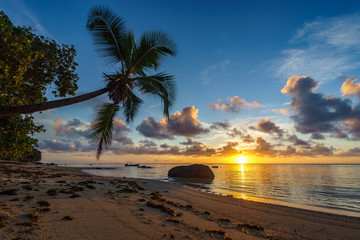 beautiful sunrise on paradise beach, seychelles 4
