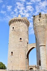 Fototapeta na wymiar Castell de Bellver in Palma de Mallorca Spanien