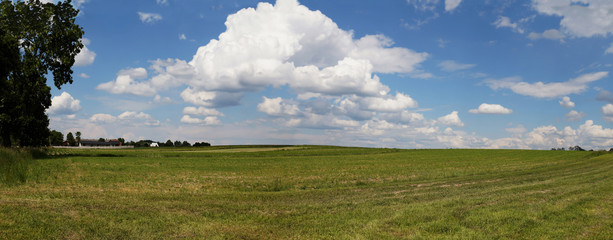 A sky full of whirling clouds. View of large fields after the first field work.