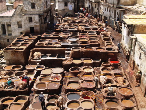 tannerie