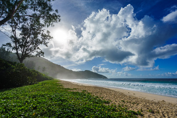 wild tropical beach at police bay on the seychelles 2