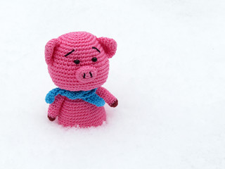 Knitted toy pig isolated on the snow, New Year 2019 Chinese symbol. Lost toy, winter weather concept, Christmas card