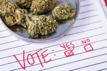 Voting On Marijuana Laws