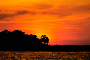 orange amazon sunset silhouette