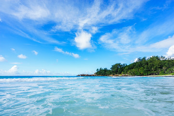 beautiful paradise beach at the police bay, seychelles 19