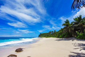 beautiful paradise beach,white sand,turquoise water,palms, seychelles 2
