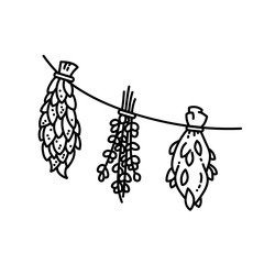 Dried herbs ornament flat vector style illustration © Olga