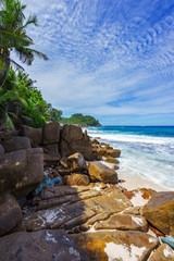 beautiful paradise beach,white sand,turquoise water,palms, seychelles 7