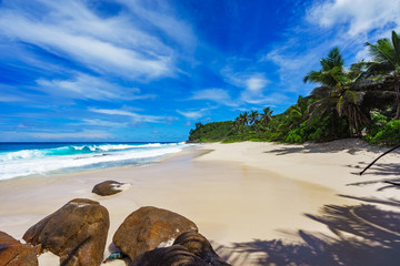 beautiful paradise beach,white sand,turquoise water,palms, seychelles 11
