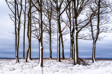  Mroźna zima na Podlasiu, Polska © podlaski49