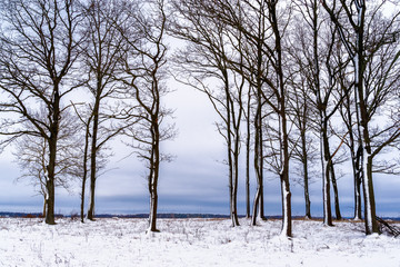  Mroźna zima na Podlasiu, Polska © podlaski49