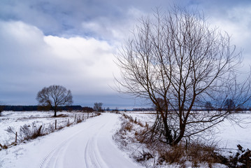 Fototapeta premium Mroźna zima na Podlasiu, Polska