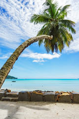 beautiful lagoon with boats behind a stone wall and  a palm, seychelles 5