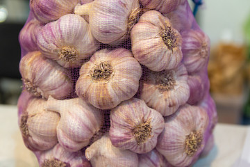 Large ripe garlic in a grid. Agriculture