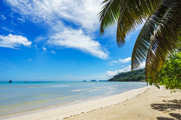 Fototapeta na wymiar beautiful lagoon with boats behind palm leaves, seychelles 11