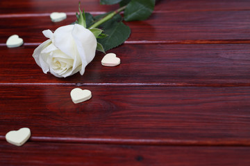 White rose and hearts