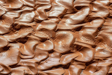 Lizard Tracks in Rippled Chocolate Colored Mud