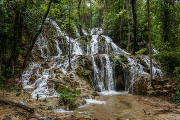 natural waterfalls in Plitvice Lakes National Park; beautiful natural landscape with forest and waterfalls; the water flows out of the forest